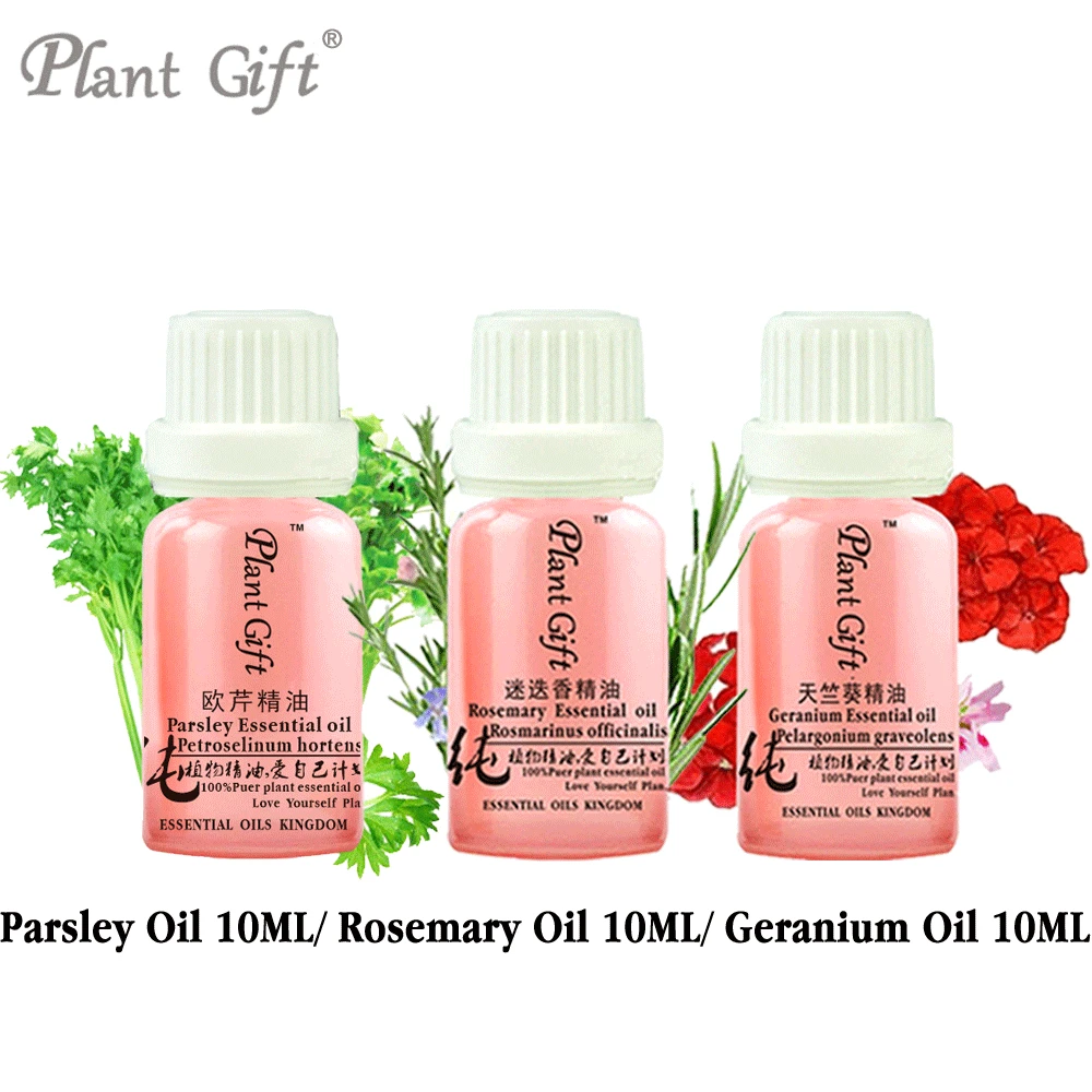 

Free Shopping 100% Pure Plant Essential Oils Parsley / Rosemary / Geranium Oil 10ml Antibacterial, Antispasmodic, Flatulence