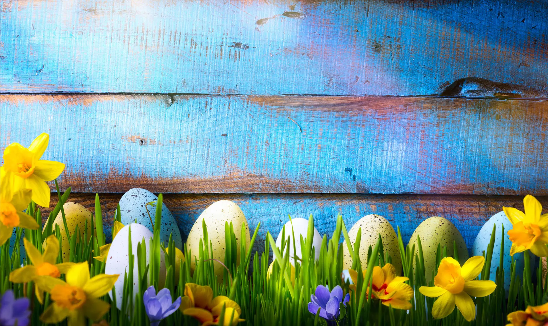 Cool Background Designs Cool Background Designs