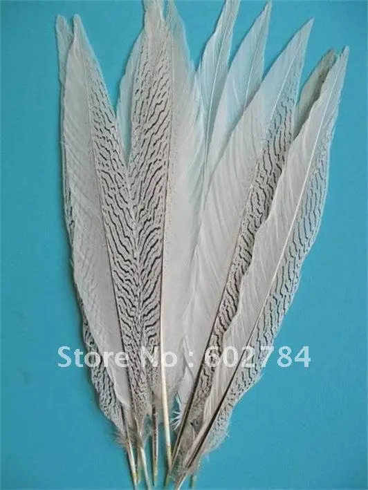 

EMS Free shipping 50PCS 18-20 inches 45-50cm Silver pheasant feather silver feather