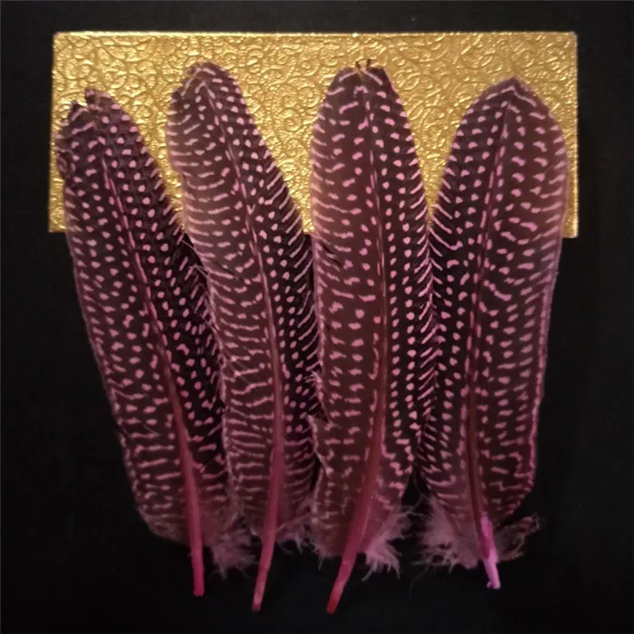 pearl pheasant feathers 1 (7)