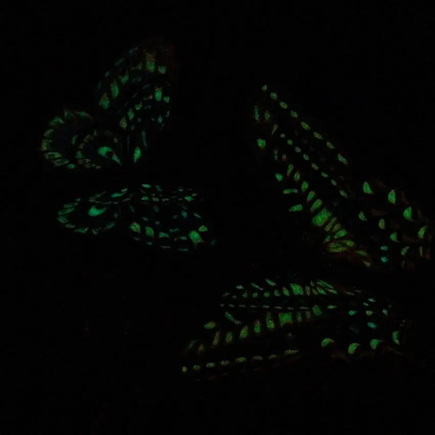CFF60428401_20160428091551854