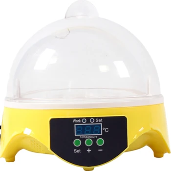

High Quality Mini Egg Incubator 7PCS Eggs Automatic Poultry Chicken Hatcher Machine