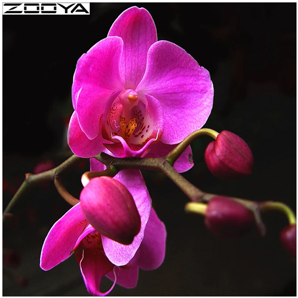 ZOOYA 5d алмаз живопись цветы вышивка стены наклейки Орхидея Калла мозаика Полный