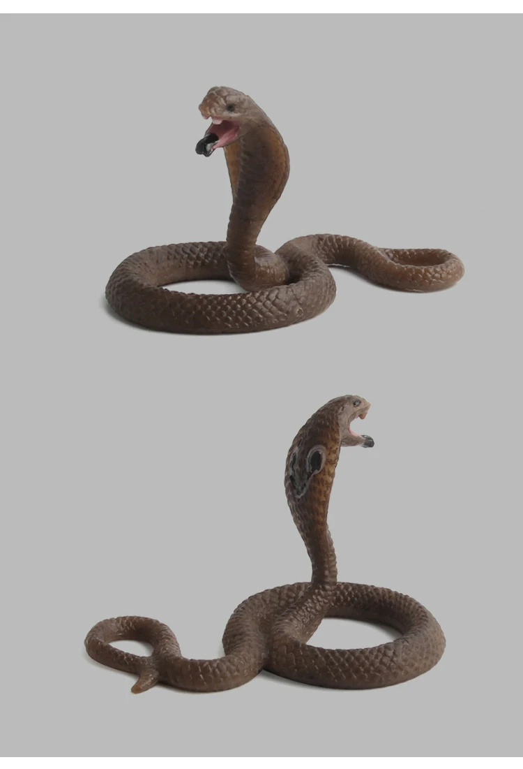 p_07
