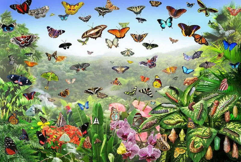 HTB1yCrRQXXXXXaIXXXXq6xXFXXXV