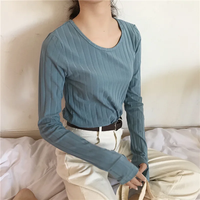 9096507516_278911921