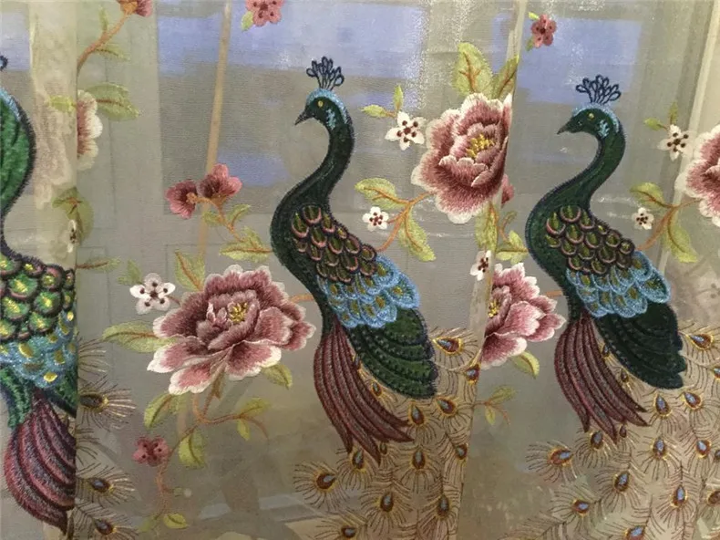 UTB8QoJ9syDEXKJk43Oqxh7z3XXaN