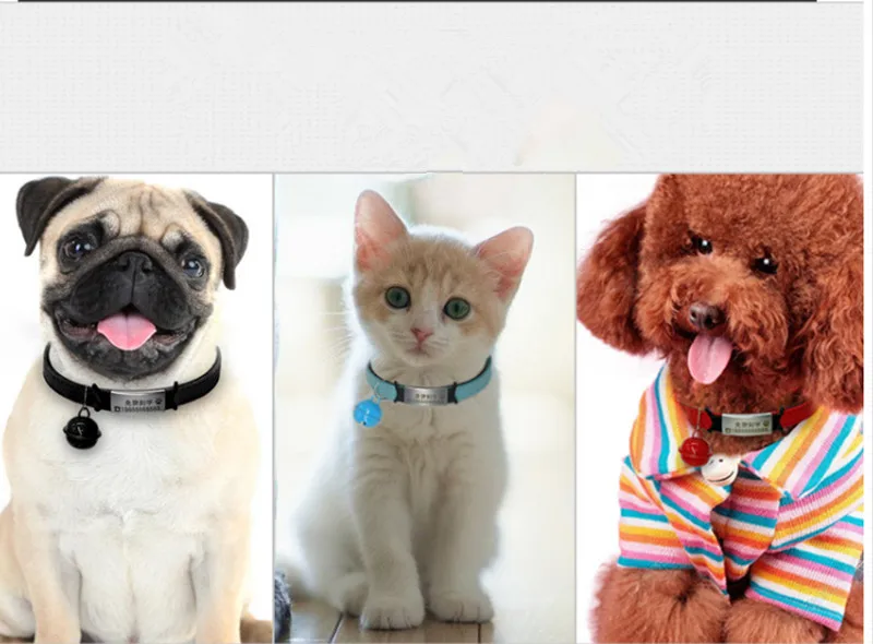 2PRWIJ{$KQ)ODYI`%V~A)39_