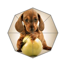 Симпатичная собака-щенок На Заказ Зонтик Модный Дизайн Зонтик для мужчин и женщин высокого качества Горячая UMN-753