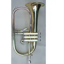 Профессиональный Латунь Флюгельгорн