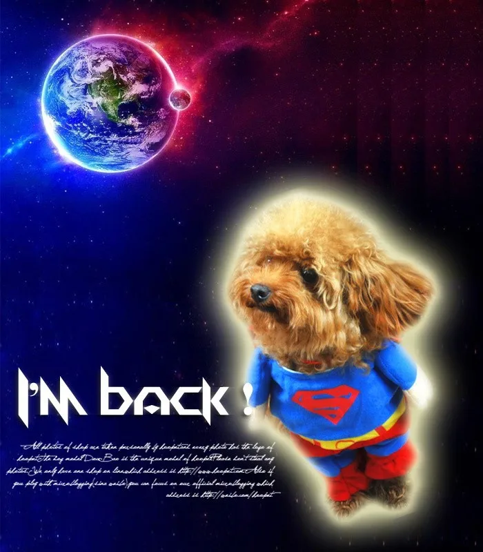 4 Patterns Small Pets Cat Dog Cosplay Costume Polar Fleece Superhero Pirate Role Costume Halloween Costume Pet Gift (11)