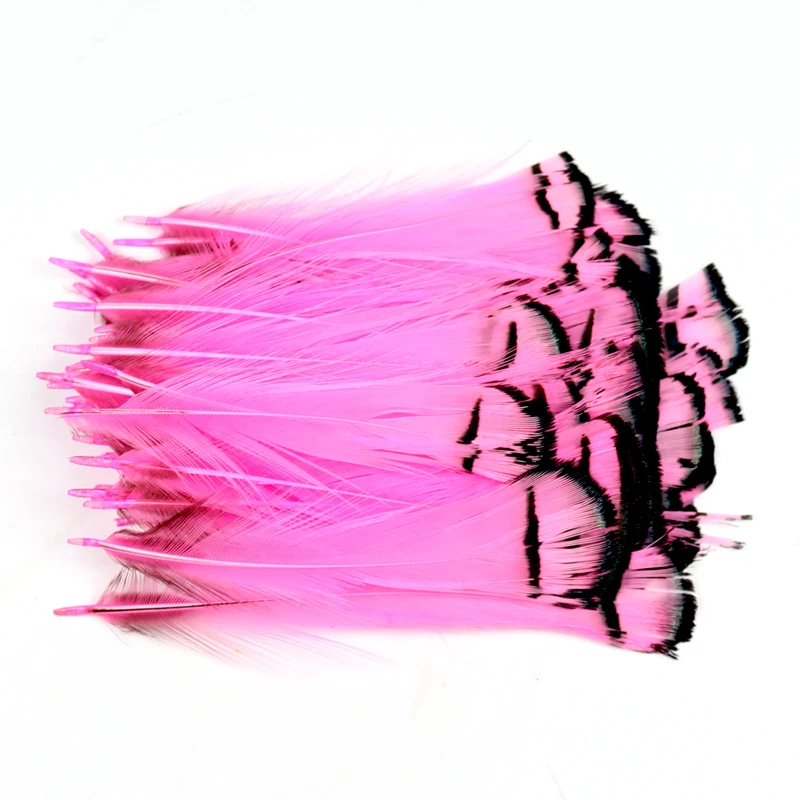 

10pcs Fishing Fly Tying Lady Amherst Feather Tippet Nymph Wet Streamer Wing Tag Tail Fly Tying Material Salmon Steelhead