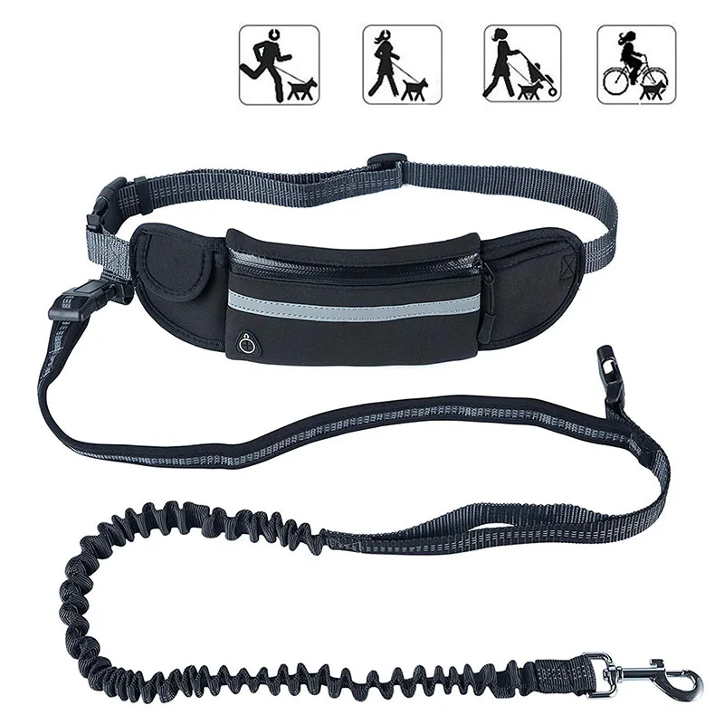 dog walking belts