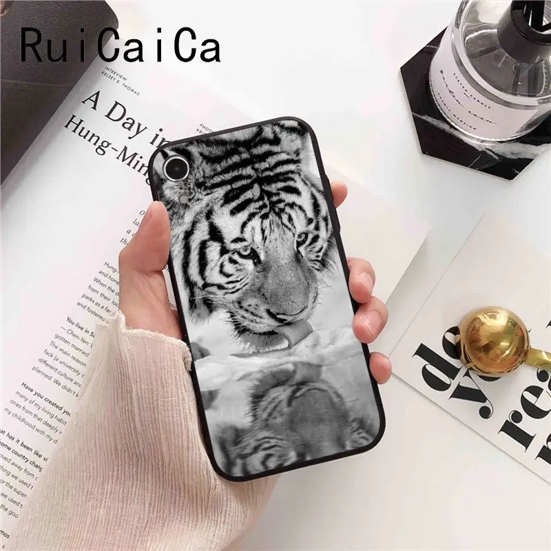 tiger fashion