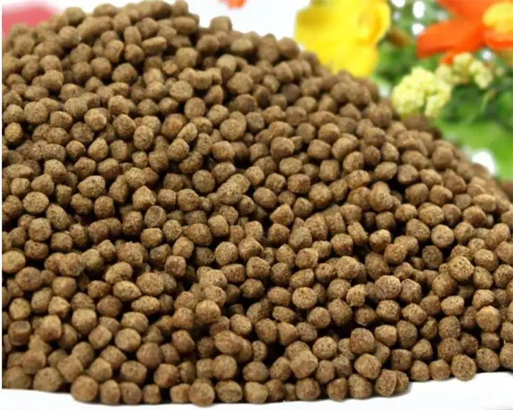 fish food