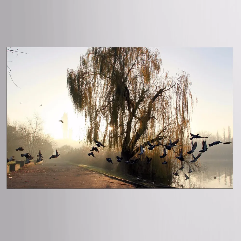LTNEW-LK (57)_1