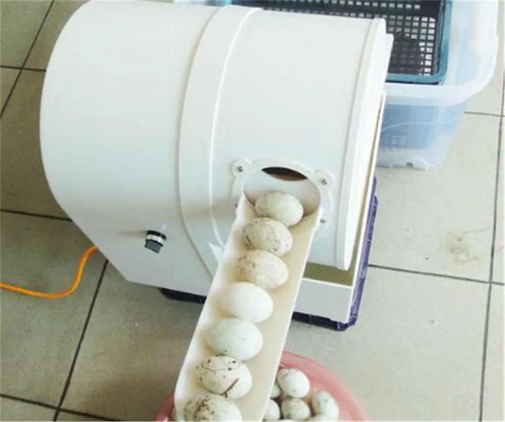 egg washer04
