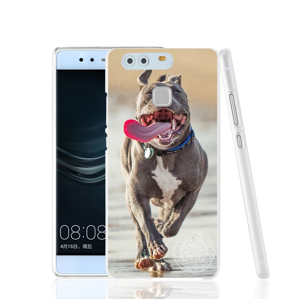 cute phone cases huawei HAMEINUO Chó Pitbull Bao Da Ốp Lưng Điện Thoại Huawei Ascend P7 P8 P9 P10 Lite Plus G8 G7 Danh Dự 5C 2017 mate 8 huawei waterproof phone case Cases For Huawei