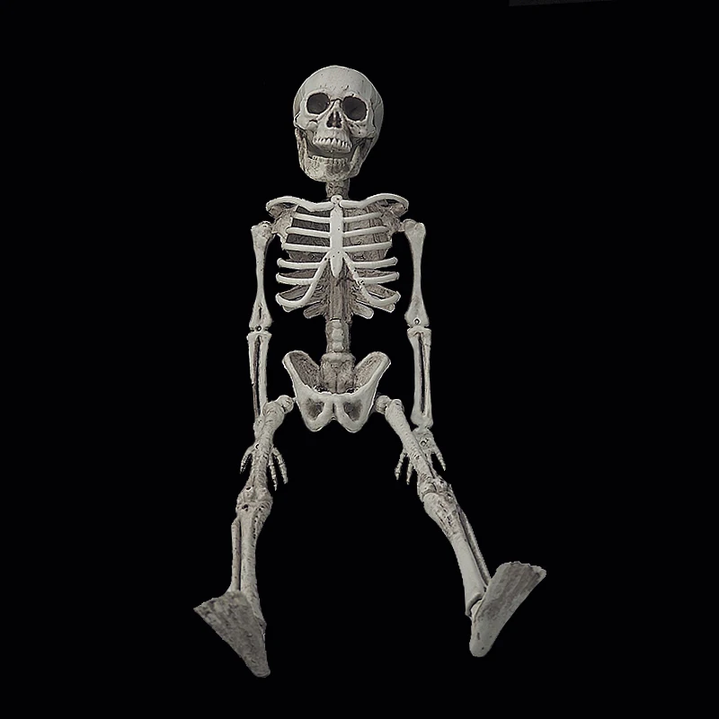 whole body imitation of human