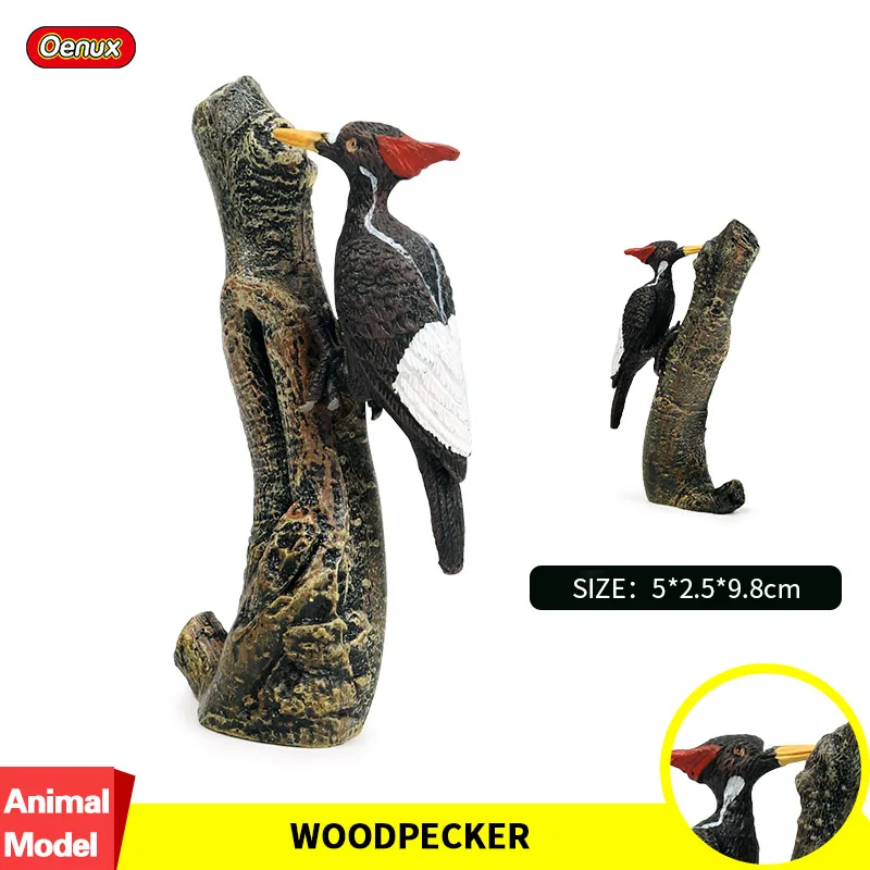 

Oenux Classic Bird Woodpecker Simulation Animals Picidae Model Action Figure Figurines PVC Miniature Garden Decoration Kid Toy