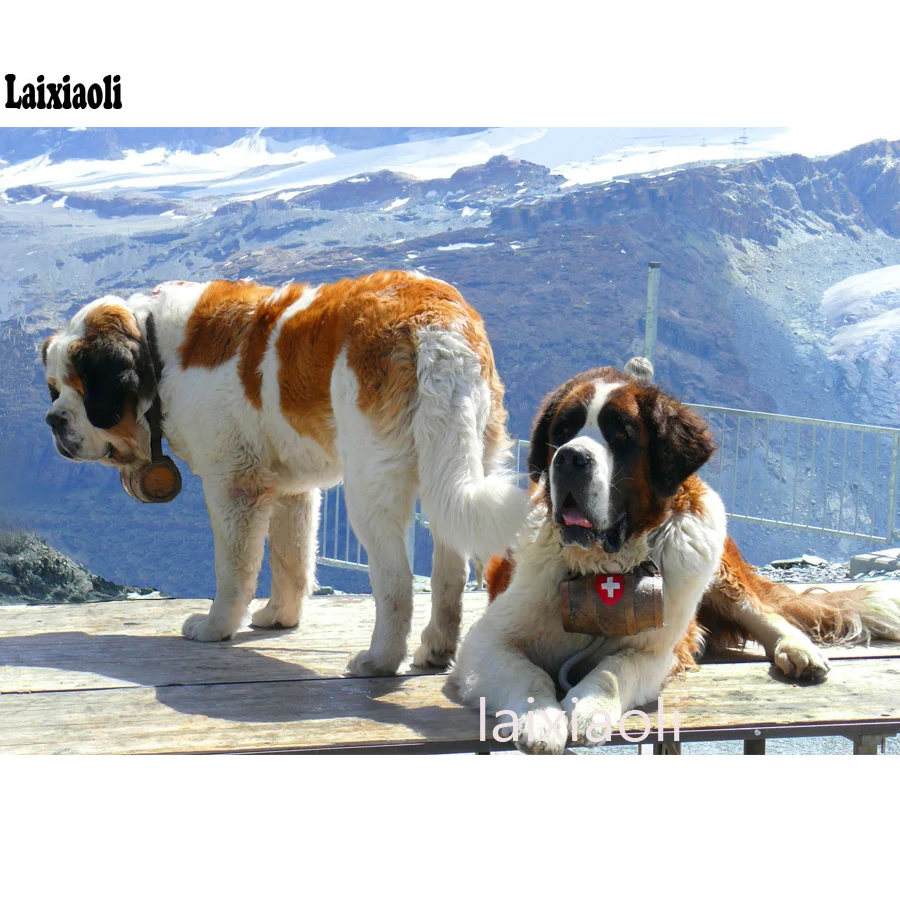 

Full Square Round Diamond Mosaic Saint Bernard dog Diamond embroidery diamand painting cross stitch 5d diy rhinestone pictures