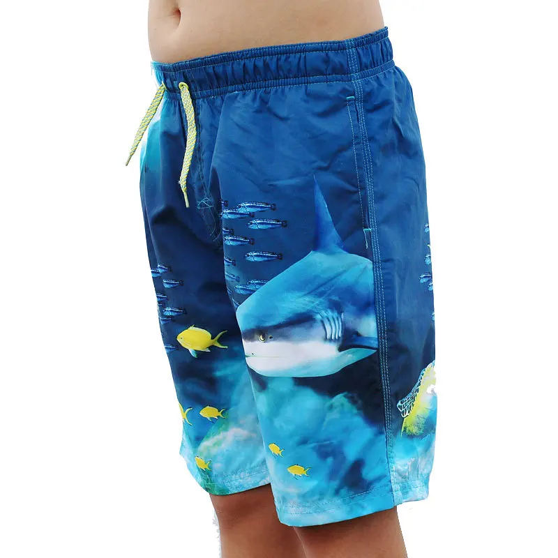 Shorts de praia e surfe