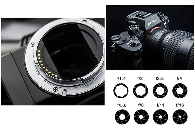 

2018 NEW Amopofo NF-E1 Auto focus adapter F-mount lens for Sony E camera Nik F lens