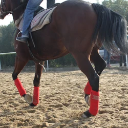 4 pcs/lot Soft Flannelette Horse Legging Protector Riding Equestrian Equipment Horse racing Exercise boots Horse Bracers A 4 pcs/lot Soft Flannelette Horse Legging Protector Riding Equestrian Equipment Horse racing Exercise boots Horse Bracers A