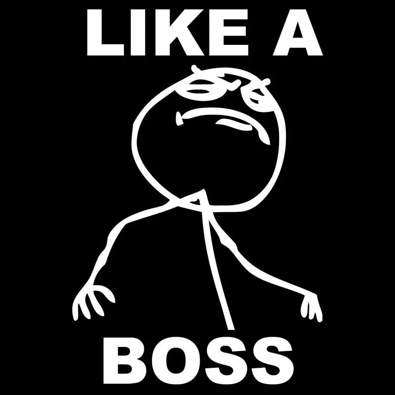 Мем бос. Лайк а босс. босс мем. like a boss меме. like a boss картинки.