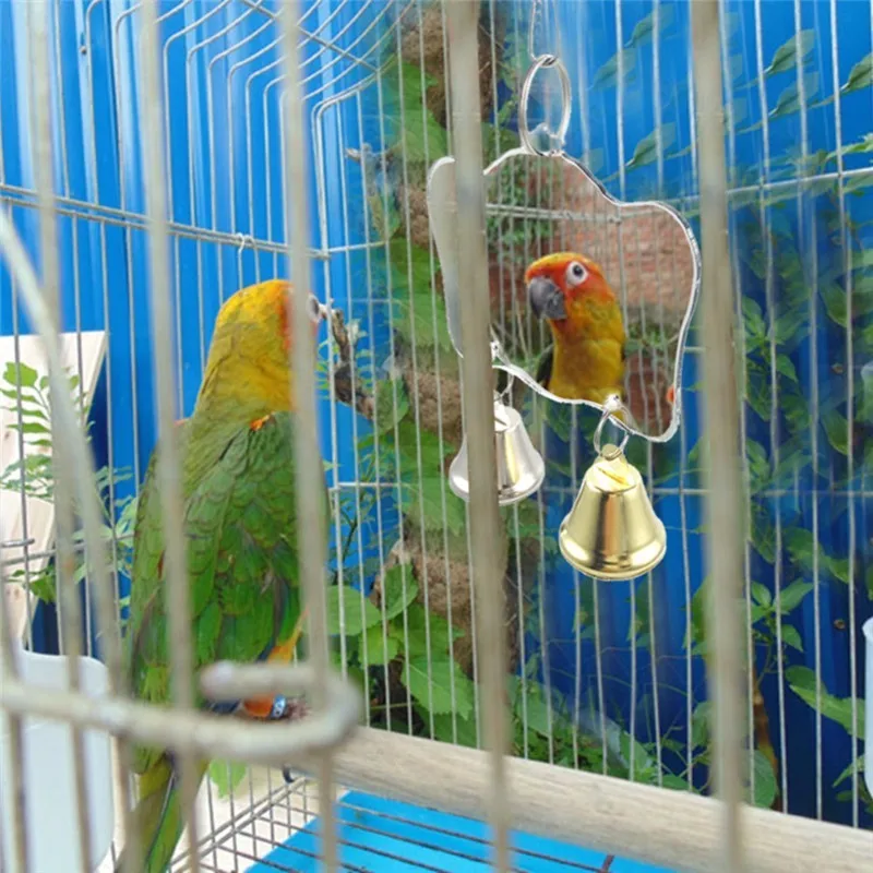 Nieuwe-Papegaai-Speelgoed-Vogel-Mini-Spiegel-met-Bells-Vogel-Speelgoed-Ringer-vogels-Papegaai-Kauwen-Spiegel-Ballen (1)
