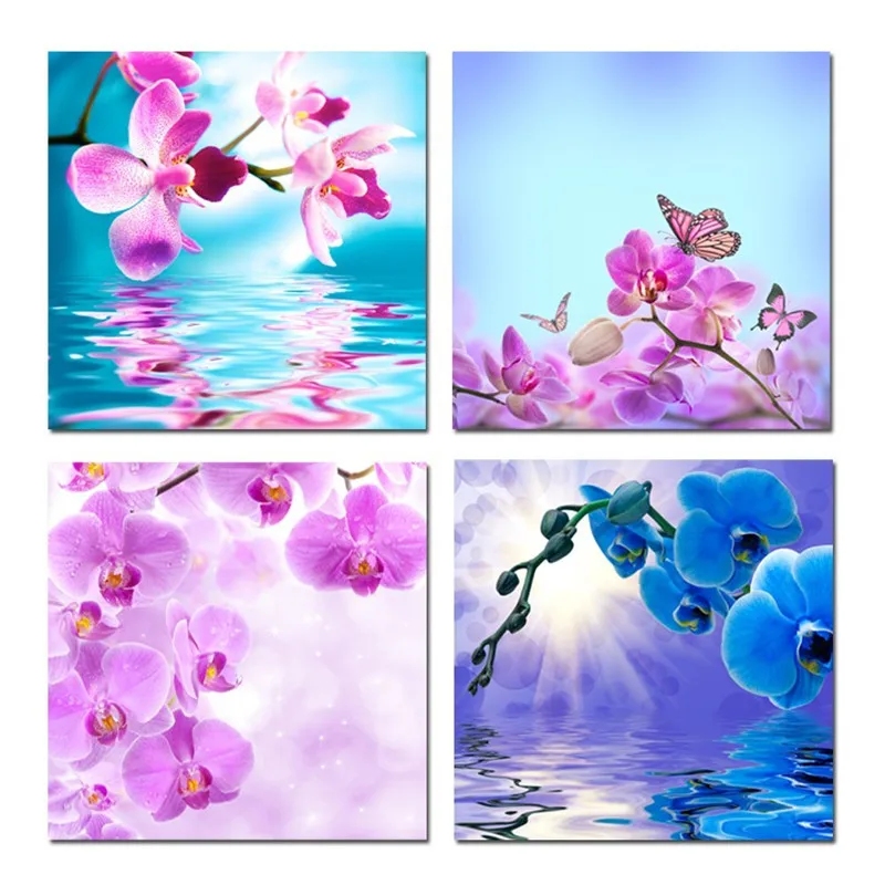 orchid butterfly