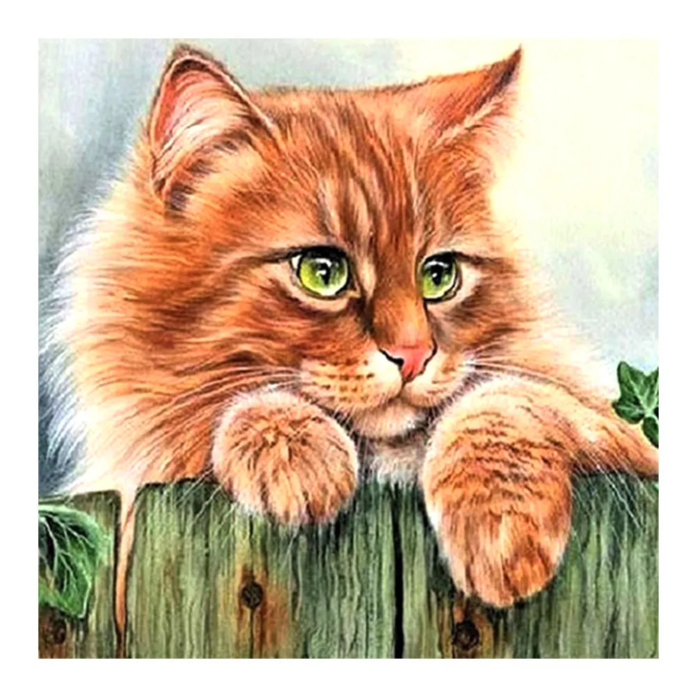 Peinture Diamant Chat Persan Animal De Dessin Anime Perceuse Ronde Nouveaute 5d Broderie De Mosaique En Point De Croix A Faire Soi Meme Decoration De Maison Cadeaux Aliexpress
