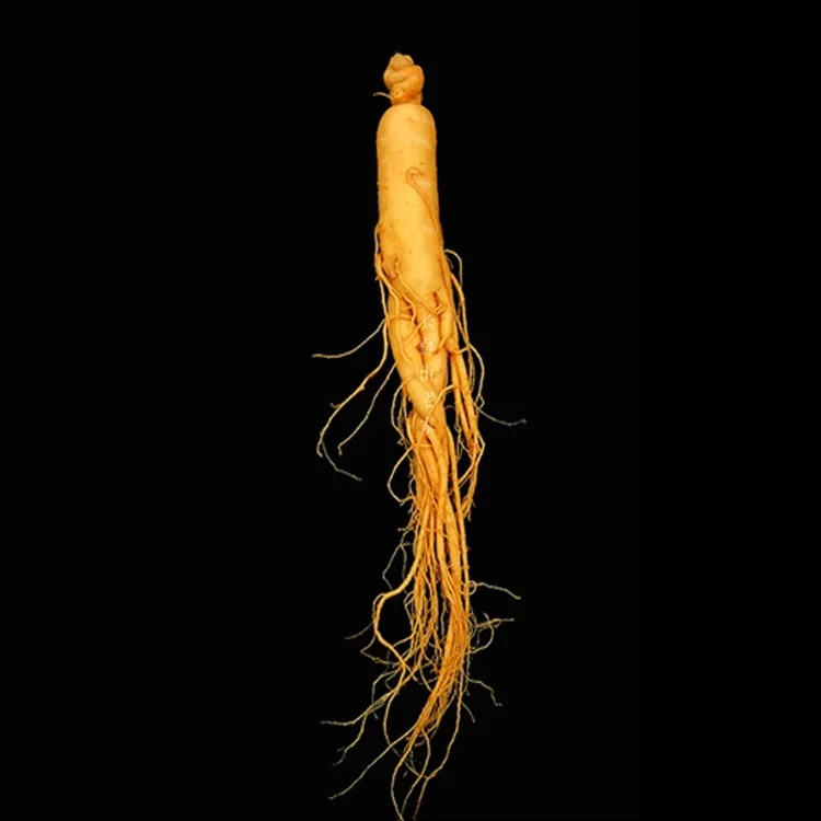 

Ginseng Root Sexo Food Hot Sale Ginseng Tea Box Goji Berries Northeast Changbai Mountain Products Health Wine Material Fresh
