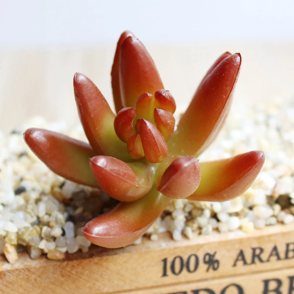 Индиго- 200 шт красное искусственное суккулентное растение пустынная Роза Echeveria Hookerii украшение зелени - Цвет: 200pcs