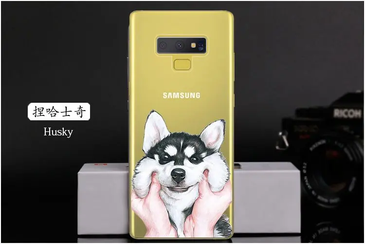  Husky