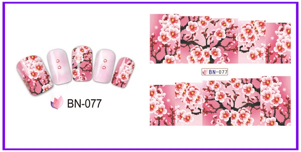 BN-077