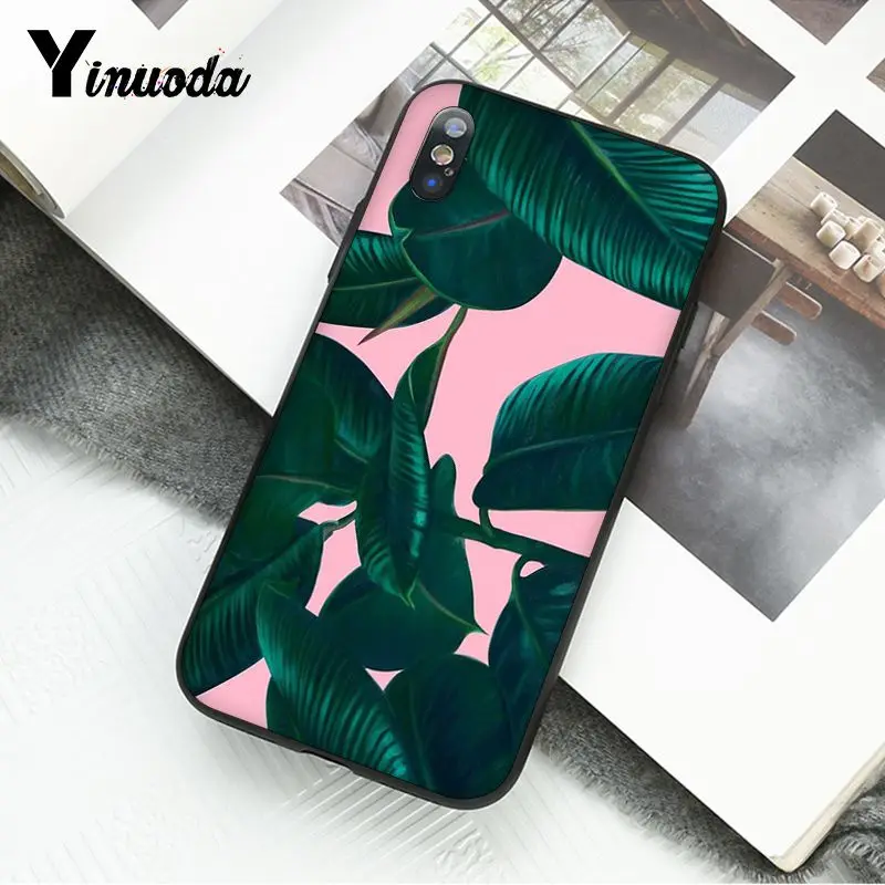 Summer Palm Leaf Banana Leaf Flowers Plants