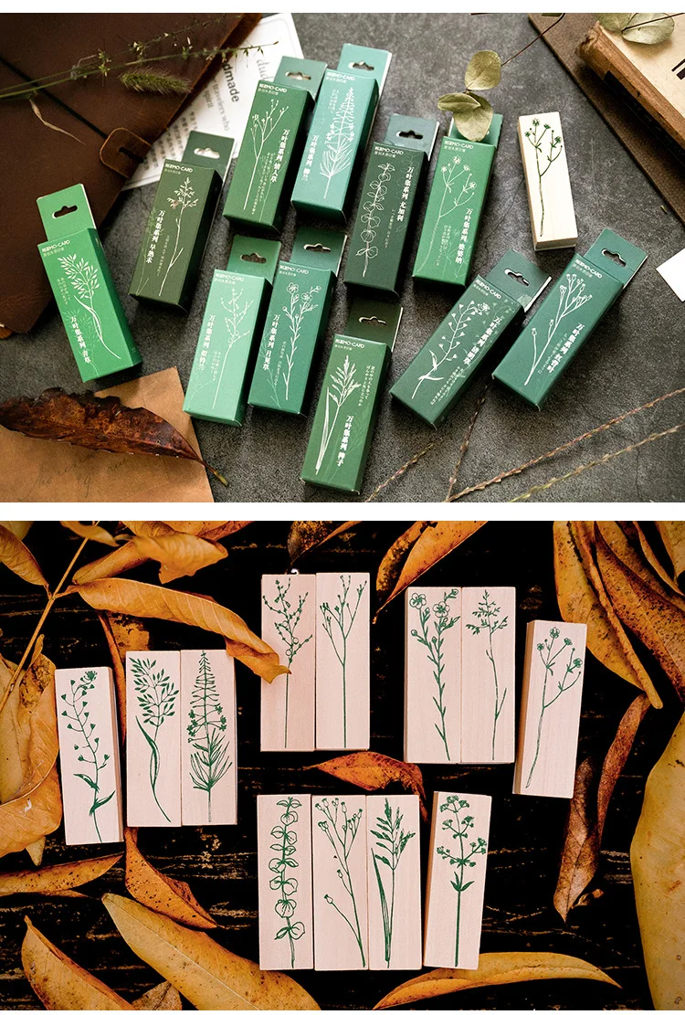 9697233285_1597187969