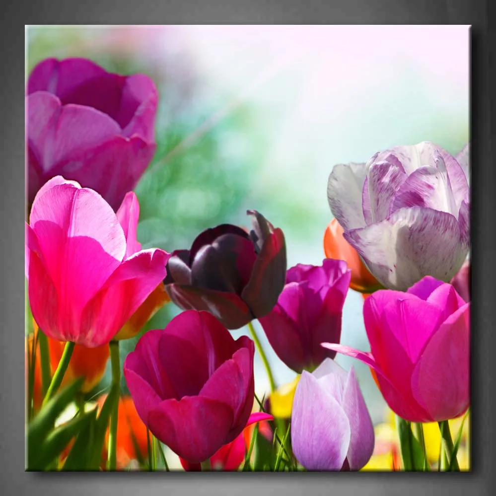 1 Pic Framed Wall Art Picture Spring Flower Tulip Canvas Print Artwork Flower Modern Poster With Wooden Frames For Decor
