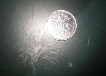 Изображение товара 0