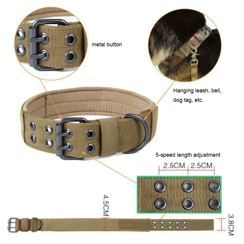 dog collar (19)