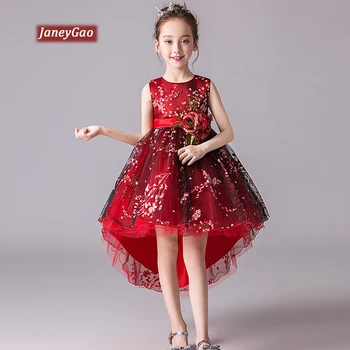 

JaneyGao Flower Girl Dresses For Wedding Party With Applieques 2019 Summer New Girl Formal Low High Little Girl Princess Gown