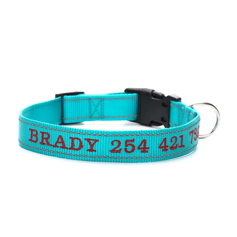 custom dog collar (7)
