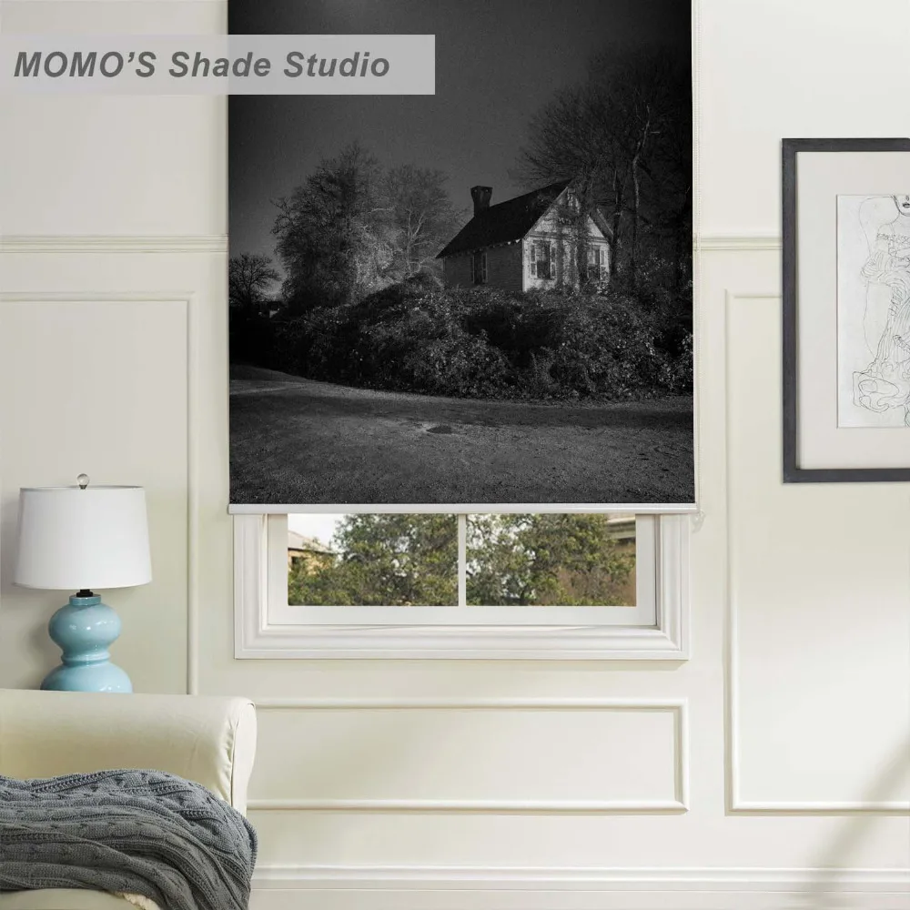 

MOMO Roller Blinds Painting Window Blinds Shades Blackout Zebra Blinds Fabric Roller Shutter Curtains Custom Size,PRB set185