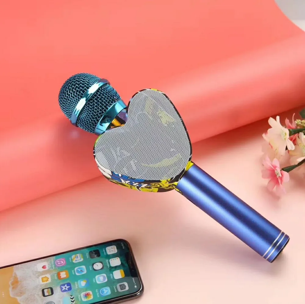 q5 karaoke microphone and speaker