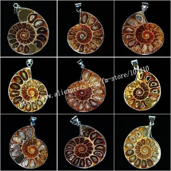 

20Pcs/Lot Metal Wrapped Mixed Natural Ammonite Fossil stone Pendant Bead Wholesale