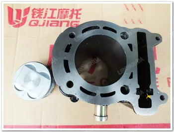 

Motorcycle Accessories Benagli Silver Blade BJ250T-8 Cylinder Piston Ring Assembly