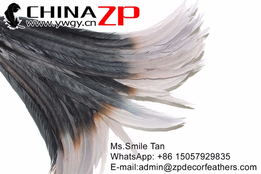 65-70cm silver pheasant feathers with grey tip (21)