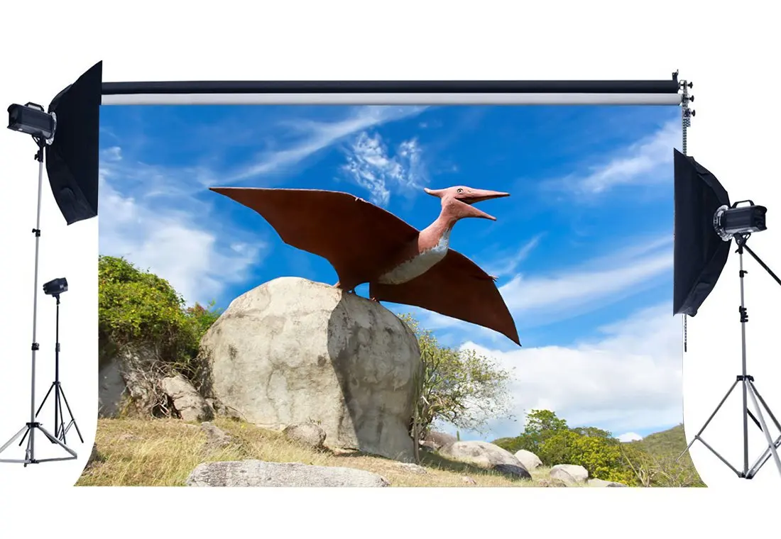 Dinosaur Backdrop Jurassic Period Nature Outdoor Stones Blue Sky White Cloud Flying Photography Background | Электроника