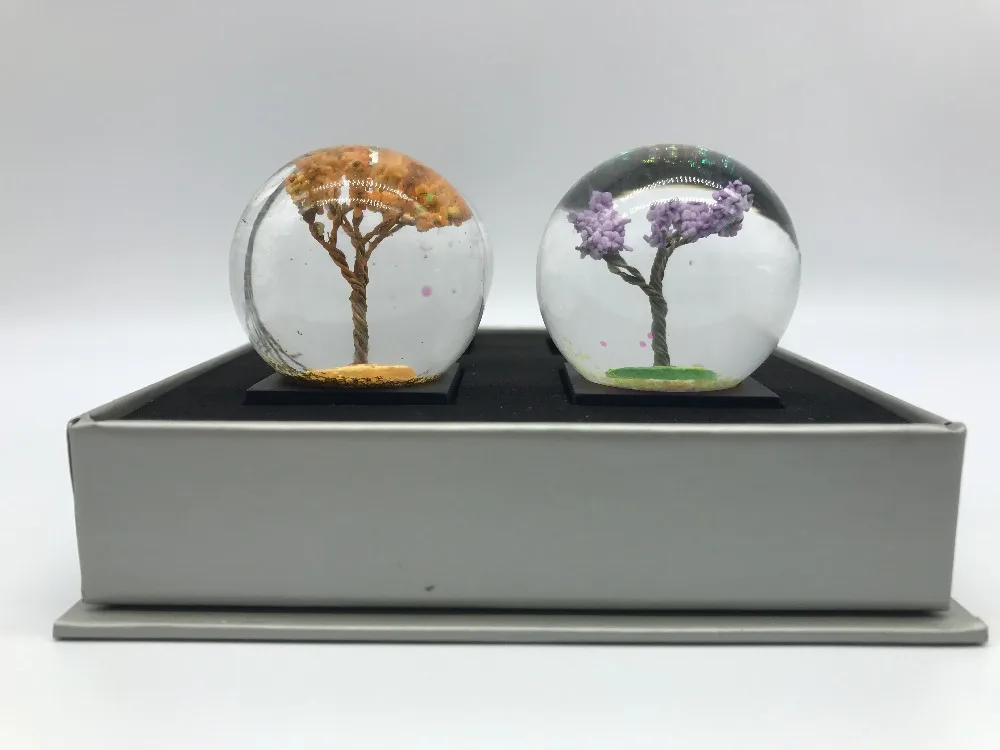 IMG_7406